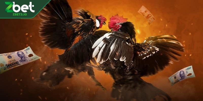 Những cửa cược nổi bật giúp thắng dễ dàng