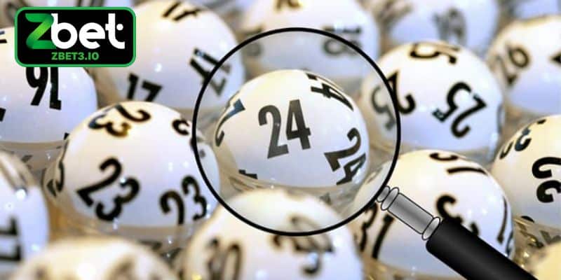 Tổng quan phương pháp nuôi lô khung 3 ngày chuẩn hiệu quả